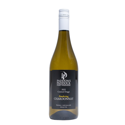 Paddons Paddock 'Pondering' Chardonnay 2022 image 0